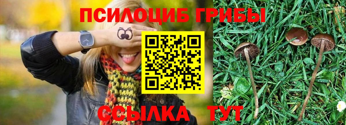 Псилоцибиновые грибы Magic Shrooms Хабаровск
