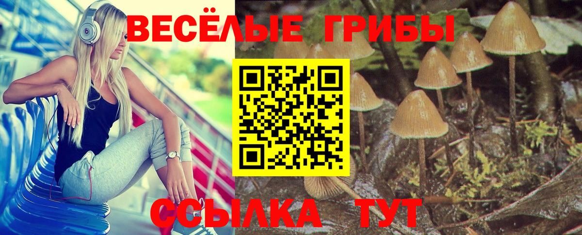 Хабаровск  Галлюциногенные грибы Cubensis  Вход с VPN 